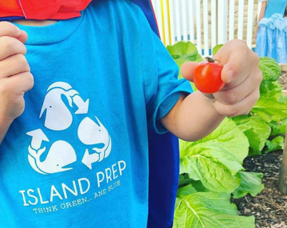 Island Prep School - Elementary Kindergarten - primary school class enrichments St Augustine, Florida