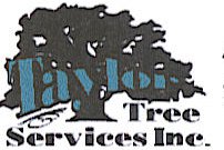 Taylor tree services