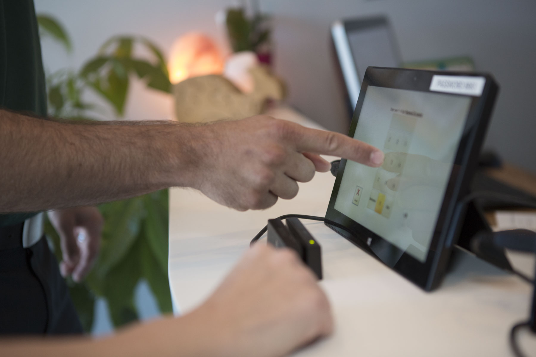 Island Prep School contact